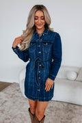 Myranda Risen Denim Dress